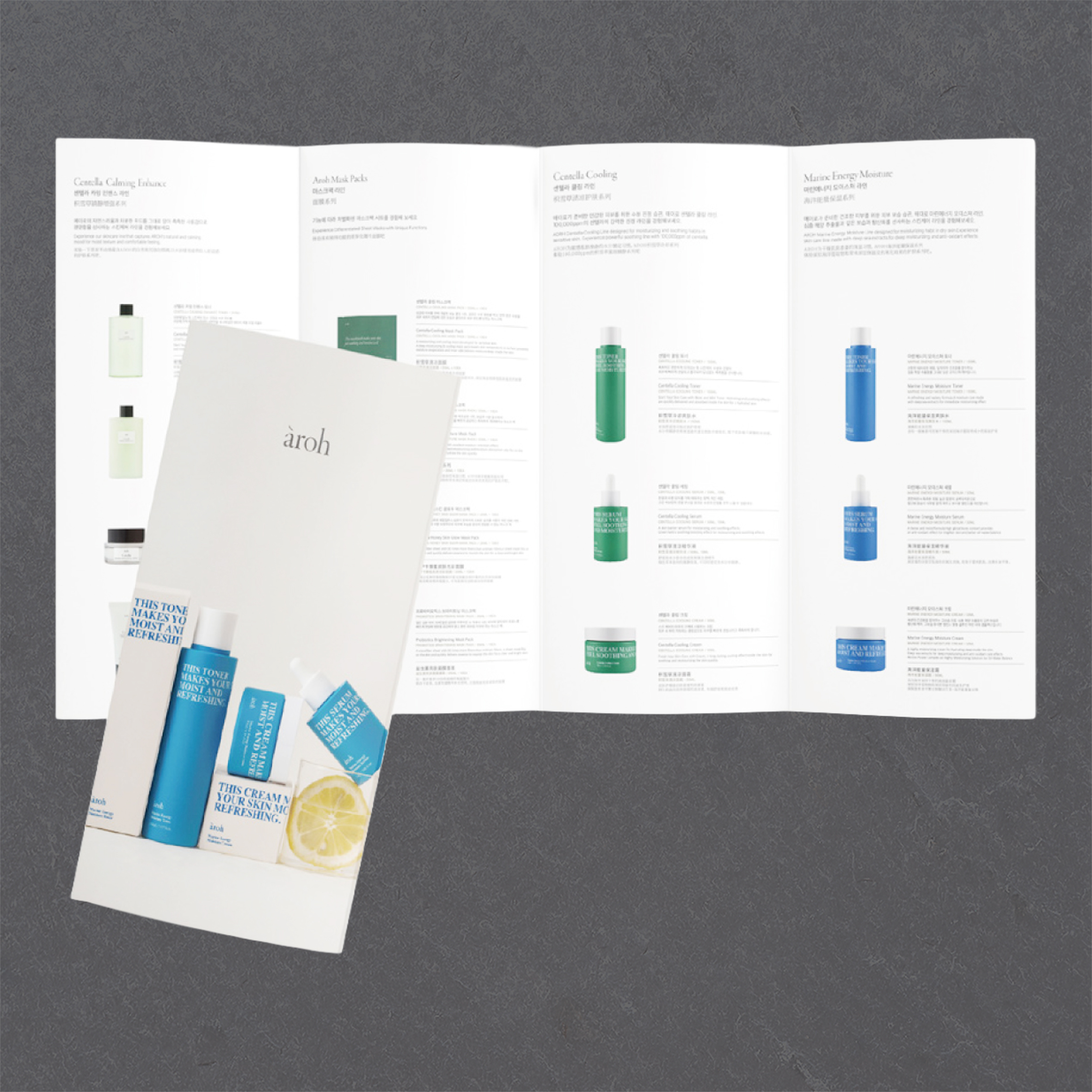 Read more about the article 4단 대문접지 리플렛